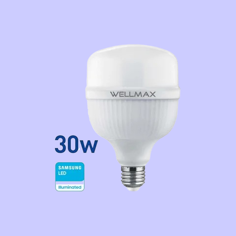 Lampara LED 30w fría WELLMAX